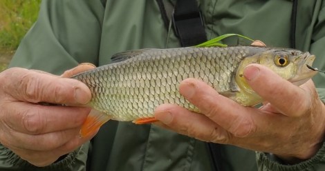 20160612_165028 - Copie